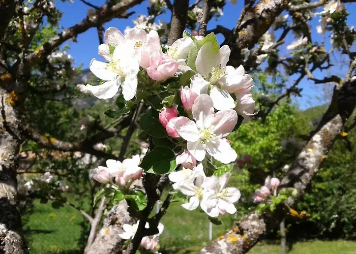 Bed & Breakfast D'hotes Castellane